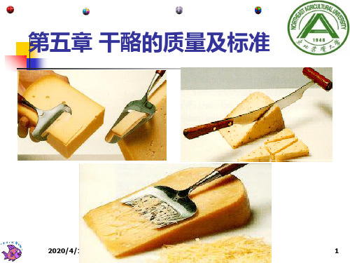 第一篇----第五章--第六章---干酪质量标准---融化干酪PPT课件