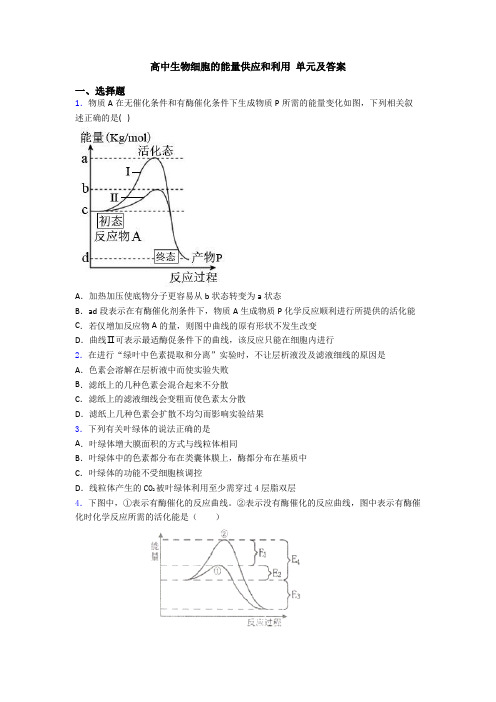 高中生物细胞的能量供应和利用 单元及答案