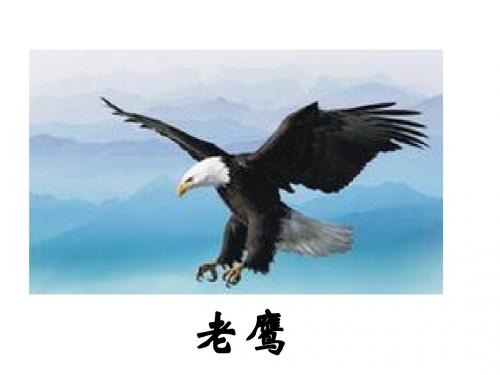 13《夜莺的歌声》