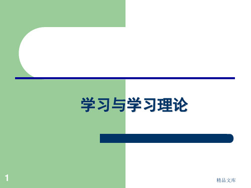 学习与学习理论(方案).ppt