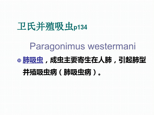 卫氏并殖吸虫精品PPT课件