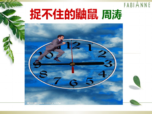 捉不住的鼬鼠.ppt
