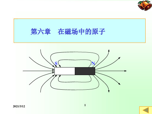 原子物理学第六章PPT课件