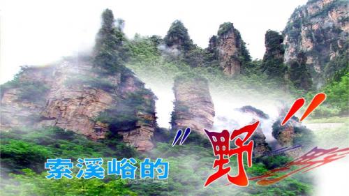 2、索溪峪的”野“