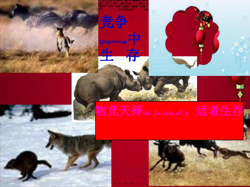 八年级政治上册 第八课 竞争合作求双赢课件上册政治课件