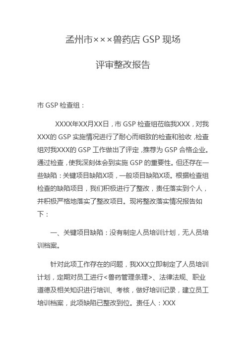 GSP整改报告