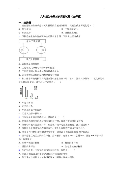 九年级生物第三次质检试题(含解析)
