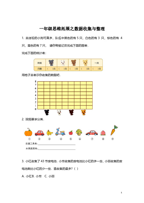 【思维拓展】数学一年级思维拓展之数据的收集与整理(附答案)必考知识点