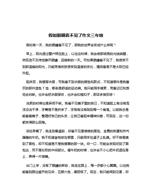 假如眼睛看不见了作文三年级