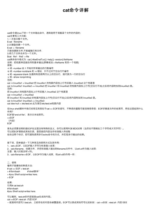cat命令详解