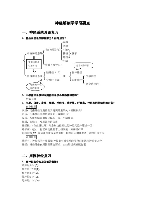 神经解剖学学习要点