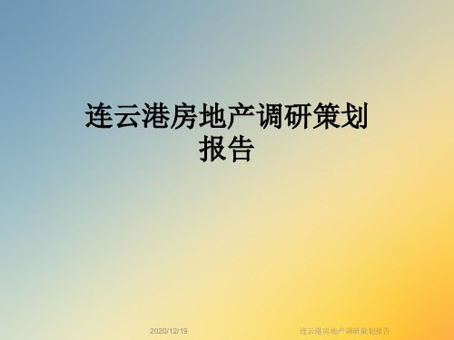 连云港房地产调研策划报告