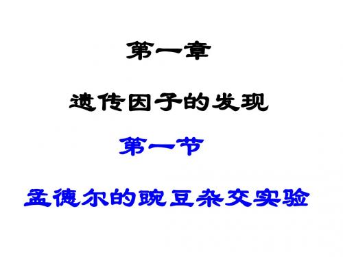 人教版教学课件一轮复习：孟德尔的豌豆杂交实验