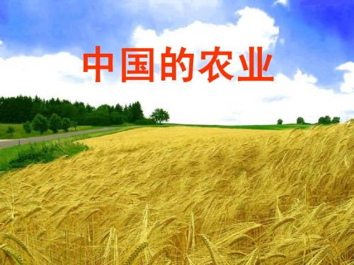 中国农业课件
