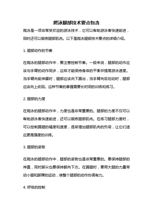 爬泳腿部技术要点包含
