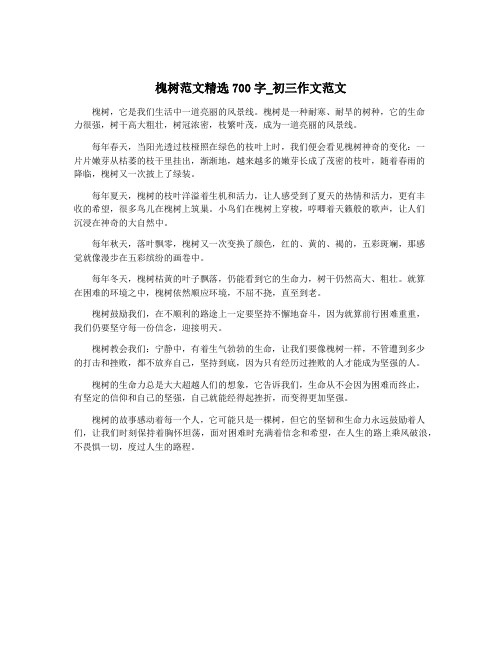 槐树范文精选700字_初三作文范文