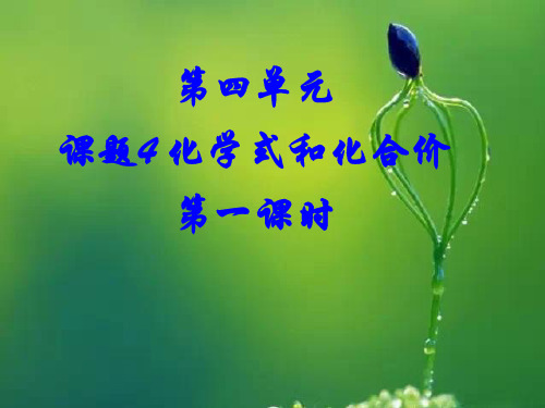 人教版九年级化学第四单元化学式与化合价-第一课时课件23张