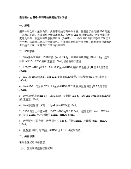 分子生物学实验方法与步骤