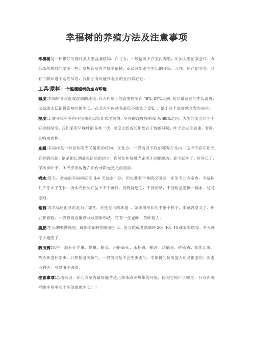 幸福树的养殖方法及注意事项