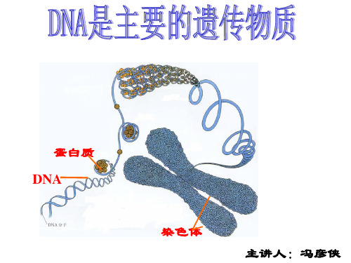 肺炎双球菌转化实验