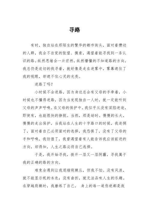 初中议论文作文：寻路