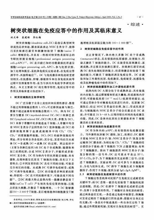 树突状细胞在免疫应答中的作用及其临床意义