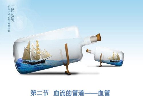 人教版七年级生物下册第四单元第二节《血流的管道—血管》PPT课件