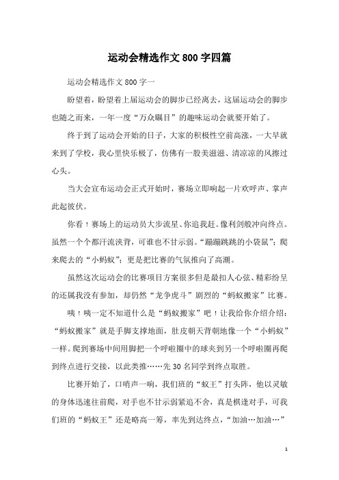 运动会精选作文800字四篇