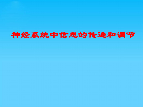 神经系统对信息的传递和调节