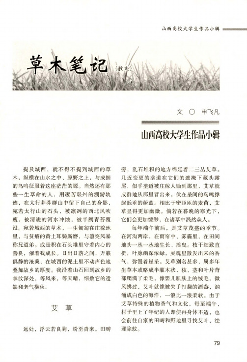 草木笔记(散文)