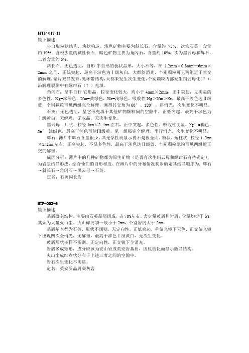 薄片鉴定  周力