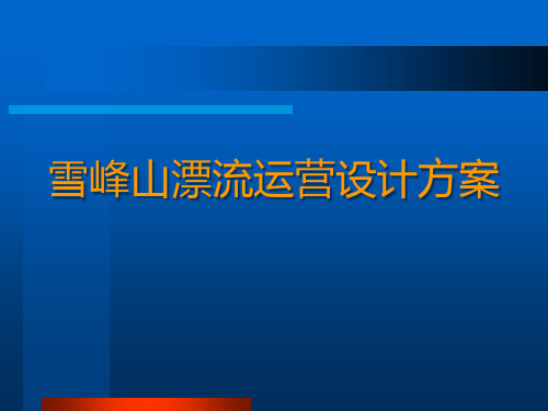 最专业的漂流运营方案 版