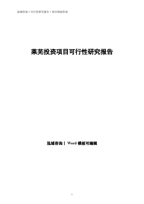 莱芜投资项目可行性研究报告