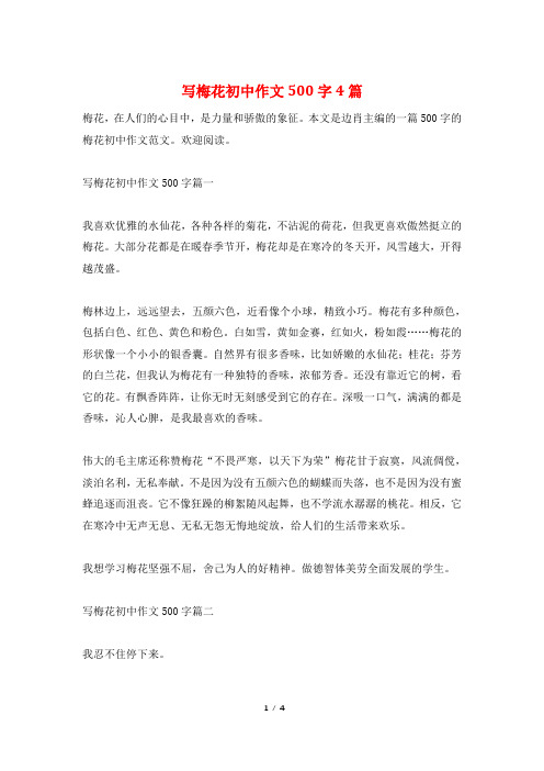 写梅花初中作文500字4篇