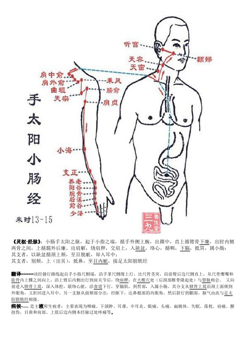 手太阳小肠经