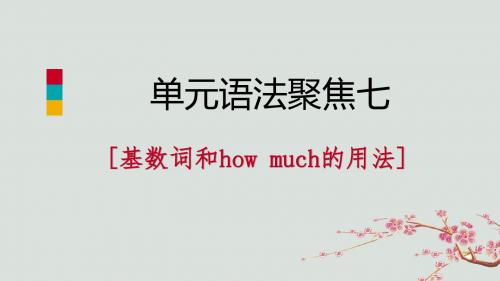 七年级英语上册Unit7Howmucharethesesocks单元语法聚