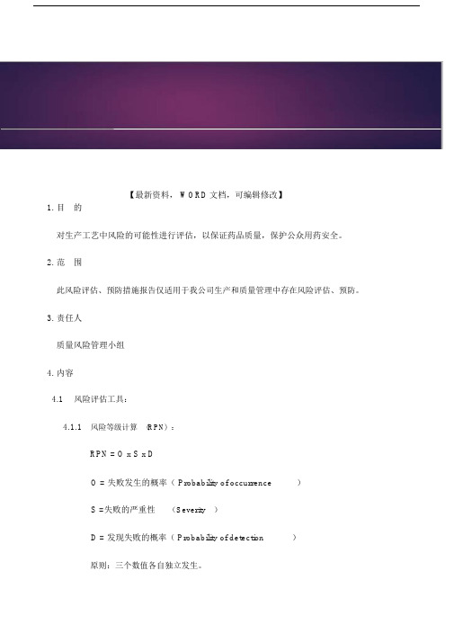 风险评估预防措施报告.docx
