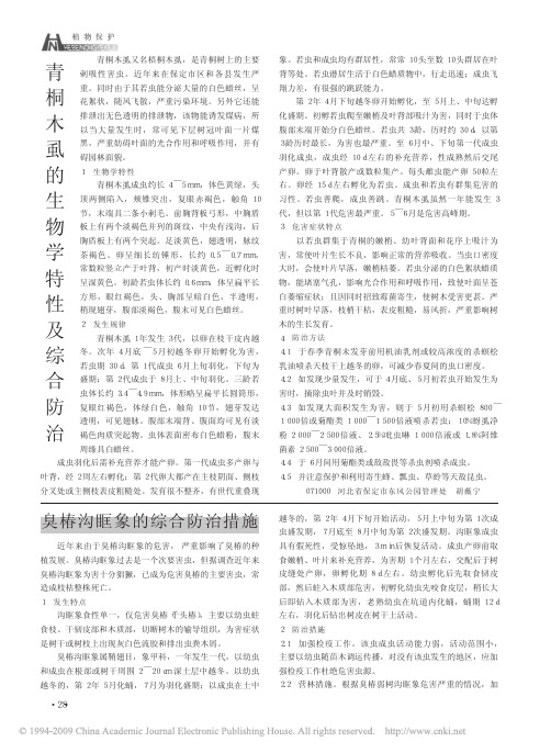 臭椿沟眶象的综合防治措施