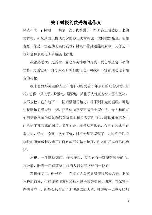 关于树根的优秀精选作文