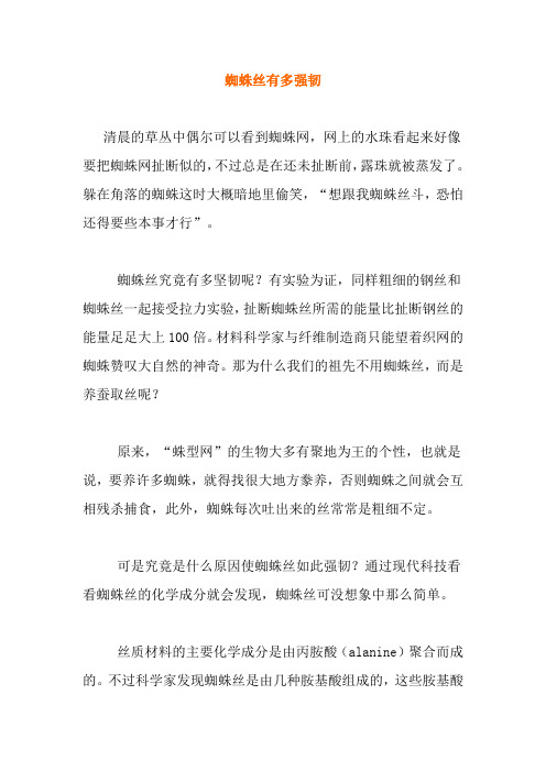 【课外阅读】蜘蛛丝有多强韧
