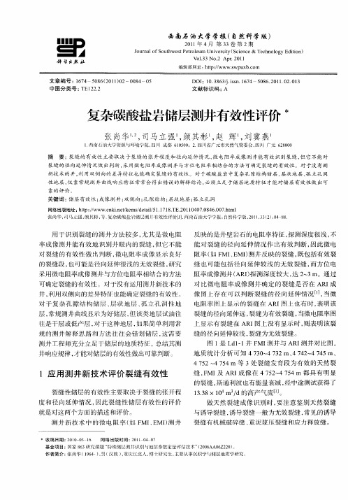 复杂碳酸盐岩储层测井有效性评价