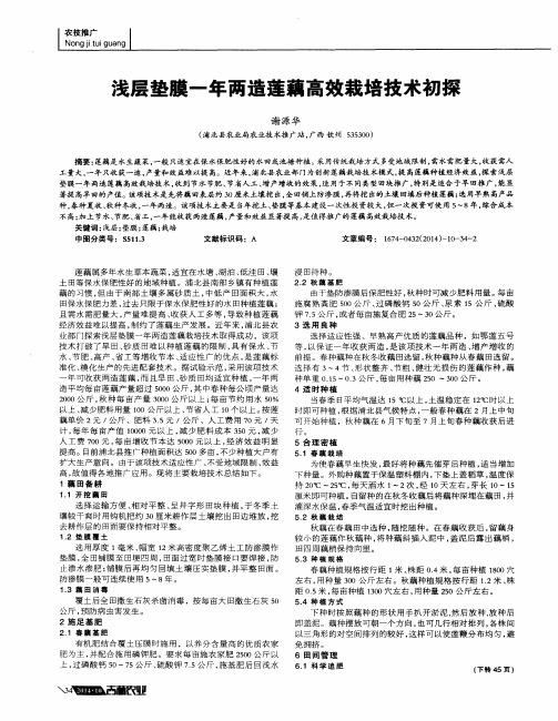 浅层垫膜一年两造莲藕高效栽培技术初探