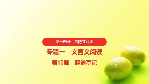 中考语文复习第一部分课内文言文阅读16《醉翁亭记》
