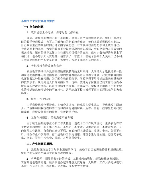 小学民主评议行风自查报告