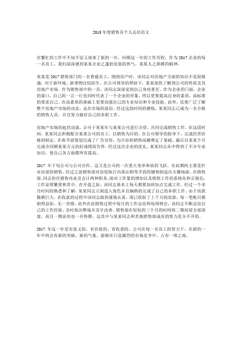 2018年度销售员个人总结范文.doc