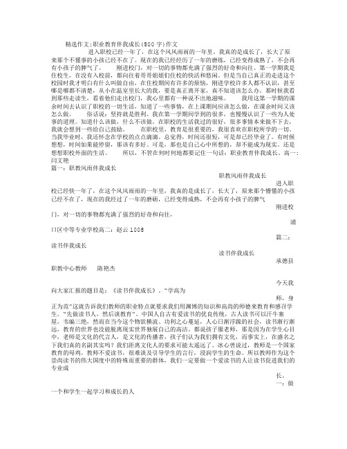 职业教育伴我成长(500字)作文