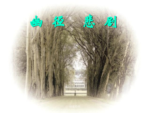 苏教版八上《幽径悲剧》课件.ppt