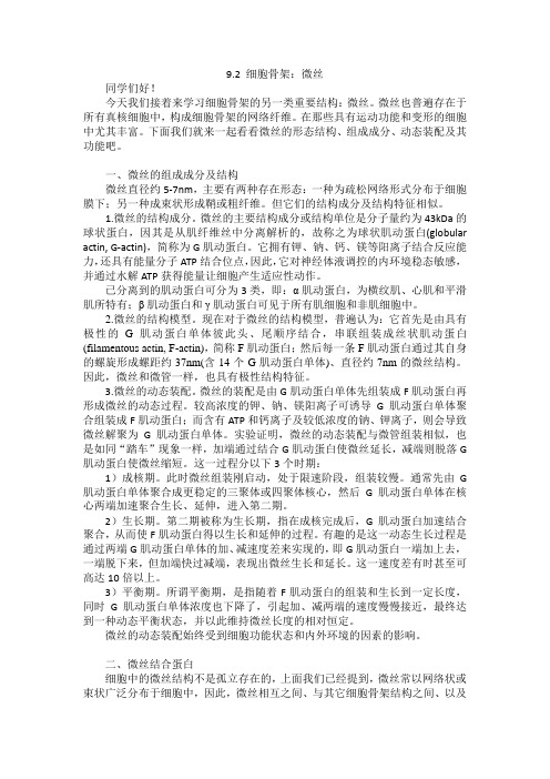 09-2-微丝