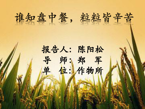 水稻的基本知识