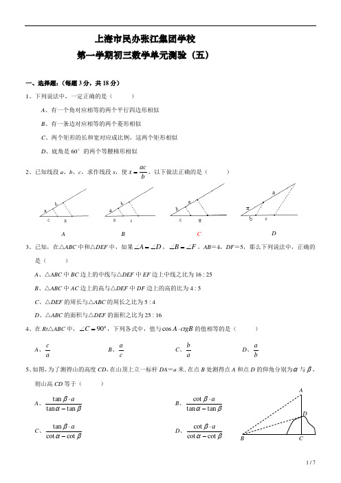 民办张江集团学校九上单元测试卷(无答案)